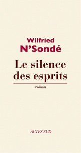 Wilfried N'Sondé - Le silence des esprits.