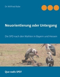 Wilfried Rabe - Neuorientierung oder Untergang - Die SPD nach den Wahlen in Bayern und Hessen.