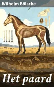 Het paard