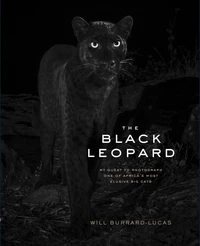 The black leopard