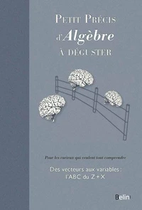 Petit precis d'algèbre à déguster