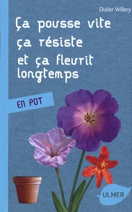 Ca pousse vite, ça résiste et ça fleurit longtemps
