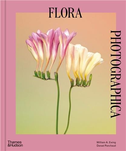 Flora Photographica. The Flower in Contemporary Photography
