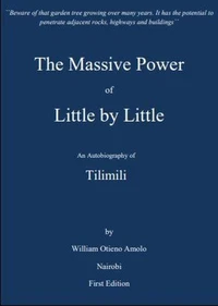 The Massive Power of Little by Little