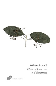 William Blake - Chants d'Innocence et d'Expérience.