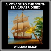A Voyage To The South Sea (Unabridged)