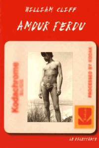 Amour perdu