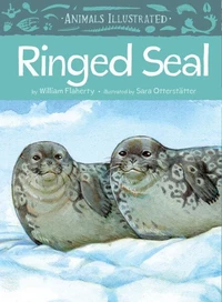 Animals Illustrated: Ringed Seal