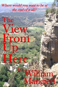 The View from Up Here