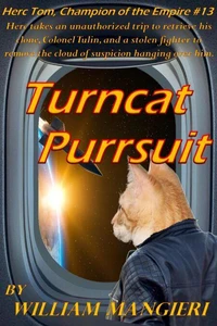 Turncat Purrsuit