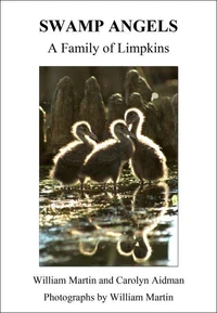 Swamp Angels - A Family of Limpkins