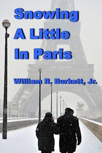 Snowing A Little in Paris