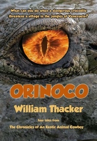  William Thacker - Orinoco.