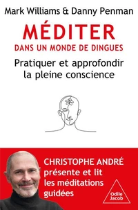 Méditer dans un monde de dingues