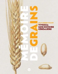 Mémoire de grains
