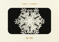 Livre d'images - Flocons de neige