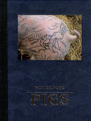 Wim Delvoye - Pigs.