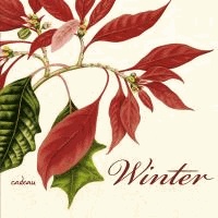 Winter - Ein Poesiealbum - zusammengestellt von Günter Berg.