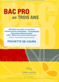 Activités (ou pôle) à caractère commercial et comptable