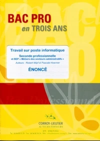 Travail sur poste informatique 2e professionnelle et BEP Métiers des secteurs administratifs