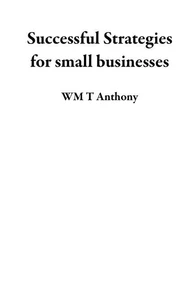 Successful Strategies for small businesses