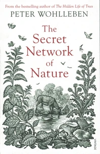 The Secret Network of Nature