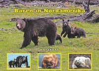 Wolfgang Forster - Bären in Nordamerika - Schwarzbären - Braunbären - Eisbären - Hotspots.