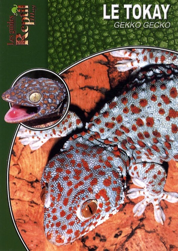 Wolfgang Grossmann - Le tokay - Gekko gecko.