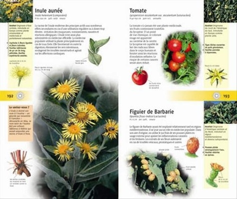 350 plantes médicinales