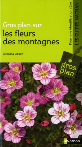 Wolfgang Lippert - Gros plan sur les fleurs de montagne.