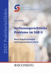 Wolfgang Spellbrink - Verfassungsrechtliche Probleme im SGB II - Neue Regelleistungen und Organisationsreform.
