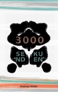 3000 Sekunden