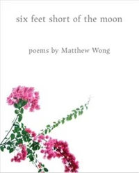 Six feet short of the moon