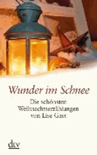 Wunder im Schnee. Die schönsten Weihnachtserzählungen von Lise Gast. Großdruck