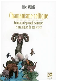 Chamanisme celtique