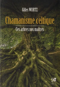 Chamanisme celtique
