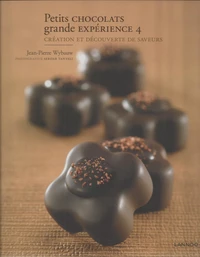 Petits chocolats grande expérience 4