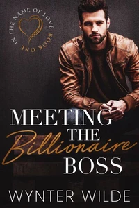 Meeting the Billionaire Boss