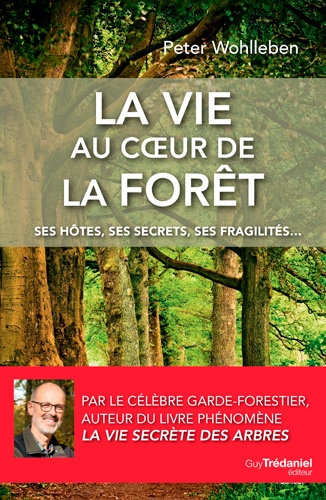La vie au coeur de la forêt