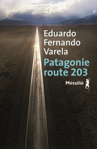 Patagonie route 203