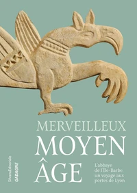 Merveilleux Moyen Age : l'Abbaye de l'Ile-Barbe, un voyage aux portes de Lyon