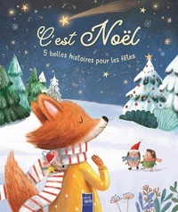 5 belles histoires pour les fêtes