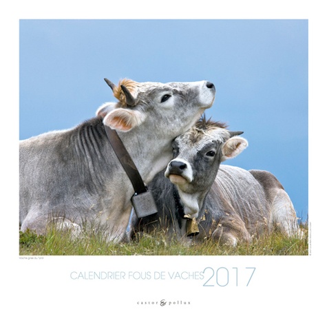 Calendrier Fous De Vaches De Xxx Grand Format Livre Decitre