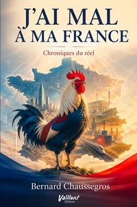 J'ai mal à ma France