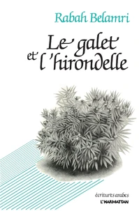 Le galet de l'hirondelle