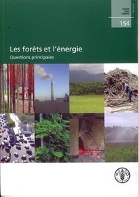  XXX - Les forêts et l'énergie. Questions principales (Étude FAO Forêts N° 154).