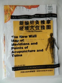 New map of meridians and points of acupuncture - zhenjiu tuina jingluo yu xuewei guatu (eng-ch)