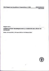  XXX - Rapport de la consultation technique sur la conduite de l'état du pavillon - Rome, 2-6 mai 2011, 5-9 mars 2012 et 4-8 février 2013.