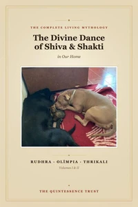 The Divine Dance of Shiva & Shakti
