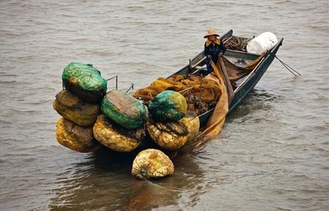 L'homme et la mer